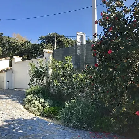 Eco Del Mare Villa *